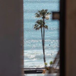 骑女马四肢着地爬行
